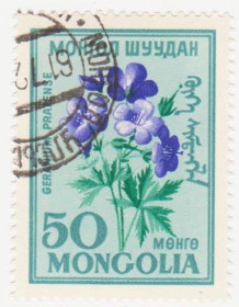 Монголія Монголия ^/--/^ Монголия 1960 г. № 191 гашеная ^_^^^ Монголія 1960 р. No 191 гашена - фото фото фото