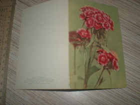 Інше Другое ^/--/^ Открытка мини. Цветы. Левашова. 1966 /--/ г Двойная чистая ^_^^^ Листування міні. Квіти. Левашова. 1966 Подвійна чиста - фото фото фото