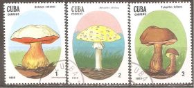 Острівні держави Островные государства ^/--/^ Куба 1988 Sc.3000-02 used Грибы ^_^^^ Куба 1988 Sc.3000-02 used Гриби - фото фото фото