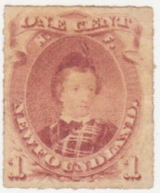 Північна Америка Северная Америка ^/--/^ Канада   (  Ньюфаундленд ) 1876 г..№ 35 ^_^^^ Канада (Ньюфаундленд) 1876 р. No 35 - фото фото фото