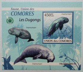 Комори Коморы ^/--/^ Коморские острова, Коморы 2009 Дюгонь, морская фауна, блок, MNH  (КЦ=11 евро) (I) ^_^^^ Коморські острови, Комори 2009 Дюгонь, морська фауна, блок, MNH (КЦ = 11 євро) (I) - фото фото фото