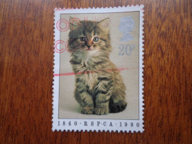 Великобританія Великобритания ^/--/^ великобритания, 1990, фауна - котенок, гаш. ^_^^^ великобританія, 1990, фауна - кошеня, гаш. - фото фото фото