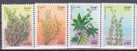 Алжир Алжир ^/--/^ Алжир 1982 ДИКАЯ ПРИРОДА ФЛОРА ДИКИЕ РАСТЕНИЯ ЦВЕТЫ ЭДЕМИКИ БОТАНИКА ЭКОСИСТЕМА Mi.801-804** MNH ^_^^^ Алжир 1982 ДІКА ПРИРОДИ ФЛОРА ДІКІ РАСТИНИ ЦВЕТИ ЕДЕМІКИ БОТАНІКА ЕКОСИСТЕМА Mi.801-804** MNH - фото фото фото
