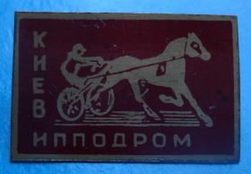Спортивні Спортивные ^/--/^ ипподром Киев лошадь скачки ^_^^^ Іподром Київ кінь скачки - фото фото фото