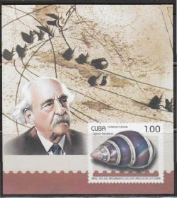 Острівні держави Островные государства ^/--/^ Куба 2008 ПОДВОДНЫЙ МИР ОКЕАНА МИДИИ РАКУШКИ РАКОВИНЫ ИХТИОЛОГИЯ ФАУНА Блок** б/з MNH ^_^^^ Куба 2008 Підводний світ ОКЕАНА МЗС РАКОВИНИ ІХТІОЛОГІЯ ФАУНА Блок** б/з MNH - фото фото фото
