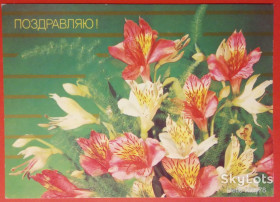 СРСР СССР ^/--/^ СССР 1987 цветы флора ХМПК 02 ^_^^^ СРСР 1987 квіти флора ХМПК 02 - фото фото фото