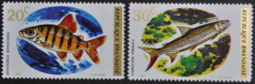 Інше Другое ^/--/^ Руанда Фауна Рыбы 1973 ^_^^^ Руанда Фауна Риби 1973 - фото фото фото