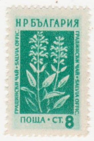 Балканський півострів Балканский полуостров ^/--/^ Болгария 1953 г № 864 ** ^_^^^ Болгарія 1953 р No 864 ** - фото фото фото