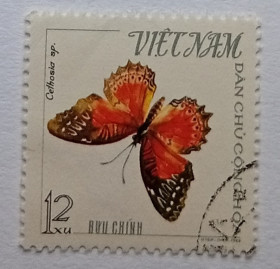 В'єтнам Вьетнам ^/--/^ Северный Вьетнам 1965 Бабочка, гашеная ^_^^^ Північний В'єтнам 1965 Бабочка, гашена - фото фото фото