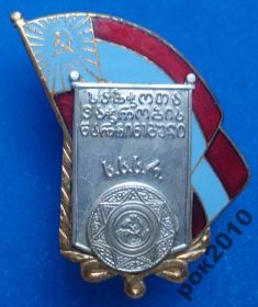 Відзнаки Знаки отличий ^/--/^ отличник торговли Грузинской ССР ^_^^^ Відмінник торгівлі Грузинської РСР - фото фото фото