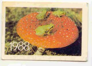 Календарі Календари ^/--/^ СССР 1988 Календарик Флора Фауна  Лягушки ^_^^^ СРСР 1988 Календарик Флора Фауна Лягушки - фото фото фото