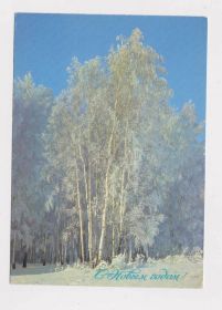 СРСР СССР ^/--/^ С НОВЫМ ГОДОМ = ДМПК 1988 г. = БОГДАНОВ = чистая # ^_^^^ З Новим роком = ДМПК 1988 = БОГДАНОВ = чиста # - фото фото фото