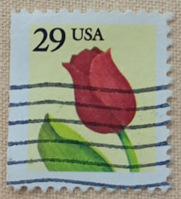 Північна Америка Северная Америка ^/--/^ США 1991 г - Тюльпан, гаш ^_^^^ 1991 — Тюльпан, гаш - фото фото фото