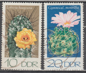 Флора Флора ^/--/^ Германия Німеччина ГДР 1974 флора кактуси ^_^^^ Германия ГДР 1974 флора кактусы - фото фото фото