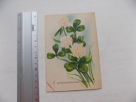 Іноземні Иностранные ^/--/^ Открытка Z powinszowaniem Imienin! Поздравляю с именинами! Польша 1946 г. ^_^^^ Z Powinszowaniem Imienin! Вітаємо з іменинами! Польща 1946 р. - фото фото фото
