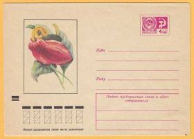 СРСР СССР ^/--/^ ХМК 18.01.72 Флора Цветы Цветок Худ. Н. ШЕВЦОВ ^_^^^ ХМК 18.01.72 Флора Квітки Квітка Худ. Н. ШЕВЦОВ - фото фото фото