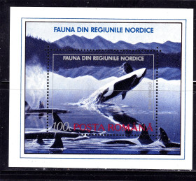 Фауна Фауна ^/--/^ Фауна .  Румыния  1992 г  MNH  - блок - косатки ^_^^^ Румунія 1992 р MNH - блок - косатки - фото фото фото