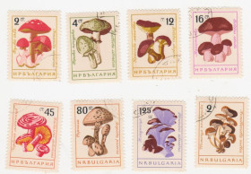 Балканський півострів Балканский полуостров ^/--/^ Болгария 1961 г № 1256‑1263	гашеная серия ^_^^^ Болгарія 1961 р. No 1256-1263 гашена серія - фото фото фото