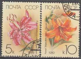 СРСР - СССР - ^/--/^ СССР 1989 флора цветы ^_^^^ СРСР 1989 флора квіти - фото фото фото