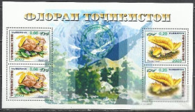 Таджикистан Таджикистан ^/--/^ Таджикистан 2004 грибы надп. зеленая бл. ^_^^^ Таджикистан 2004 гриби надп. зелена бл. - фото фото фото