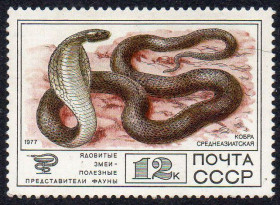 СРСР - СССР - ^/--/^ СРСР 1977 - Фауна СРСР ** ^_^^^ 1977 — Фауна СРСР - фото фото фото