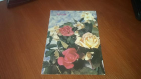 Інше Другое ^/--/^ ДМПК Витаємо /--/ 1991 Круцко чистая ^_^^^ ДМПК Витаем /--/ 1991 Круцко чистая - фото фото фото
