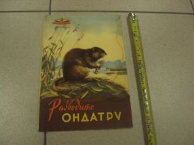 Періодичні видання Периодические издания ^/--/^ книга альбом разводите ондатру розанов трофимов №13354 /--/ м ^_^^^ Книга альбом розводьте ондатру розанів трофімів No /--/ 13354 /--/ м - фото фото фото