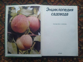 Інше Другое ^/--/^ Честер Бём и ко - Энциклопедия садовода - (великий формат) - Прага: Артия, 1987 - S /--/ 1 ^_^^^ Честер Бем і ко - Енциклопедія садоводу - (великий формат) - Прага: Артія, 1987 - S /--/ 1 - фото фото фото