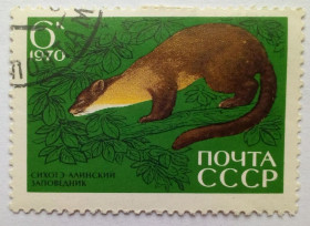 СРСР - СССР - ^/--/^ СССР 1970 Заповедник Сихотэ-Алинский, 6 /--/ к., гашеная ^_^^^ СРСР 1970 Заповідник Сіхоте-Алинський, 6 /--/ к., гашена - фото фото фото
