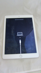 Apple iPad Apple iPad ^/--/^ Apple iPad Air 2 Gold - фото фото фото