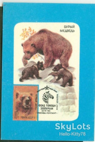 Календарі Календари ^/--/^ СССР 1990 фауна картмаксимум на календарике 1988 СК 5929 ^_^^^ СРСР 1990 фауна картмаксимум на календариці 1988 СК 5929 - фото фото фото