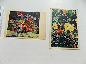 СРСР СССР ^/--/^ Открытки СССР Цветы Фото Раскина, Игнатовича 2 шт 1956, 1960 гг. ^_^^^ Листівки СРСР Квіти Фото Раскіна, Ігнатовича 2 шт 1956, 1960 рр. - фото фото фото