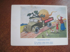 СРСР СССР ^/--/^ ВСХВ корлхозная репка 1954 абрамов тир 50 000 Чистая  розпродаж колекції ^_^^^ Корлхозная рэпка 1954 абрамов тир 50 000 Чистая распродажа коллекции - фото фото фото