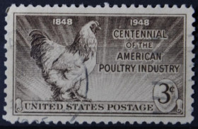 Інше Другое ^/--/^ США  Фауна Птицеводство 1948 ^_^^^ США Фауна Птахівництво 1948 - фото фото фото