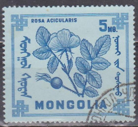 Флора Флора ^/--/^ Монголия Монголія 1968 флора ^_^^^ Монголия Монголия 1968 флора - фото фото фото