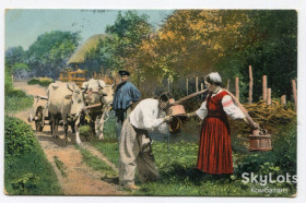 Україна Украина ^/--/^ Поштівка Українські типи, В жаркий день, 1915 р. ^_^^^ Украинские типы, В жаркий день, 1915 г. - фото фото фото