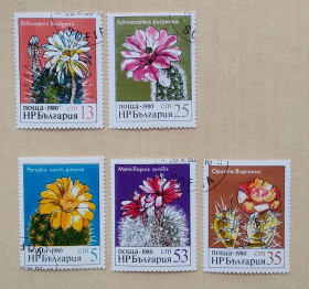 Флора Флора ^/--/^ Болгария 1980 г - кактусы, гаш ^_^^^ Болгарія 1980 - кактуси, гаш - фото фото фото