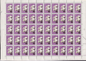 Флора Флора ^/--/^ NM Флора  СССР  1964 г MNH -  2 /--/ а листа / 2 /--/ а скана -  цветы - ^_^^^ NM Флора СРСР 1964 р MNH - 2 /--/ а аркуша / 2 /--/ а скана - квіти - фото фото фото