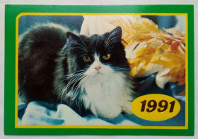 Календарі Календари ^/--/^ Календарь 1991 Котик, СССР ^_^^^ Календар 1991 Котик, СРСР - фото фото фото