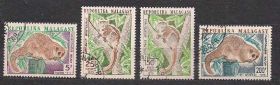 Мадагаскар Мадагаскар ^/--/^ Мадагаскар, 1973 /--/ г., фауна ^_^^^ Мадагаскар, 1973 /--/ р., фауна - фото фото фото