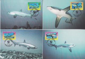 Марки Австралії та Океанії Марки Австралии и Океании ^/--/^ Токелау 2002 WWF АКУЛА ХИЩНИК РЫБА РЫБЫ МОРСКАЯ ФАУНА ПОДВОДНЫЙ МИР ИХТИОЛОГИЯ Четыре КМ ^_^^^ Токелау 2002 WWF АКУЛА ХИЩНИК РИБИ МОРСЬКА ФАУНА ПІДВОДНИЙ СВІТ ІХТІОЛОГІЯ Чотири КМ - фото фото фото