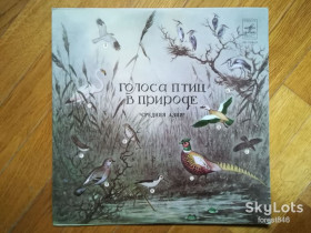 Платівки Пластинки ^/--/^ Голоса птиц в природе-Средняя Азия  (4)-NM+, Мелодия ^_^^^ Голоси птахів у природі-Середня Азія (4)-NM+, Мелодія - фото фото фото