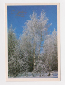 СРСР СССР ^/--/^ С НОВЫМ ГОДОМ  1986 г.  ДОРОЖИНСКИЙ  чистая  ^_^^^ З Новим роком 1986 р. Дорожинський чистий - фото фото фото
