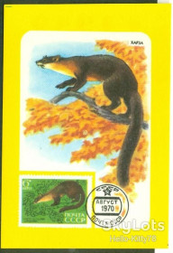 Календарі Календари ^/--/^ СССР 1989 фауна картмаксимум на календарике 1970 СК 3837 ^_^^^ СРСР 1989 фауна картмаксимум на календариці 1970 СК 3837 - фото фото фото