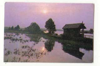 Календарі Календари ^/--/^ СССР 1989 Календарик  Флора Фауна Природа ^_^^^ СРСР 1989 Календарик Флора Фауна Природа - фото фото фото