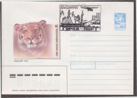 СРСР СССР ^/--/^ СССР 1988 АМУРСКИЙ ТИГР ФАУНА ПОРТ ДУДИНКА КОРАБЛЬ ФЛОТ НАВИГАЦИЯ ВЕРТОЛЁТ АВИАЦИЯ ТРАНСПОРТ СГ ХМК ^_^^^ СРСР 1988 АМУРСЬКИЙ ТИГР ФАУНА ПОРТ ДУДИНКА КОРАБЛЬ ФЛОТ НАВІГАЦІЯ ВЕРТОЛЕТ АВІАЦІЯ ТРАНСПОРТ СГ ХМК - фото фото фото