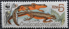 Інше Другое ^/--/^ Чехословакия WWF  Фауна Земноводные Тритон 1989 ^_^^^ Чехословаччина WWF Фауна Земноводні Тритон 1989 - фото фото фото