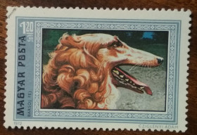 Угорщина Венгрия ^/--/^ Венгрия Собаки 1972 ^_^^^ Угорщина Собаки 1972 - фото фото фото
