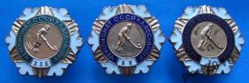 Відзнаки Знаки отличий ^/--/^ чемпионат СССР хоккей с мячом класс А 2 гр 1-3 м ^_^^^ чемпіонат СРСР хокей з м'ячем клас А 2 гр 1-3 м - фото фото фото