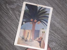 СРСР СССР ^/--/^ Открытка СССР Финиковая пальма  Египет  1957 /--/ г. ^_^^^ Листівка СРСР Фінікова пальма Єгипет 1957 /--/ р. - фото фото фото